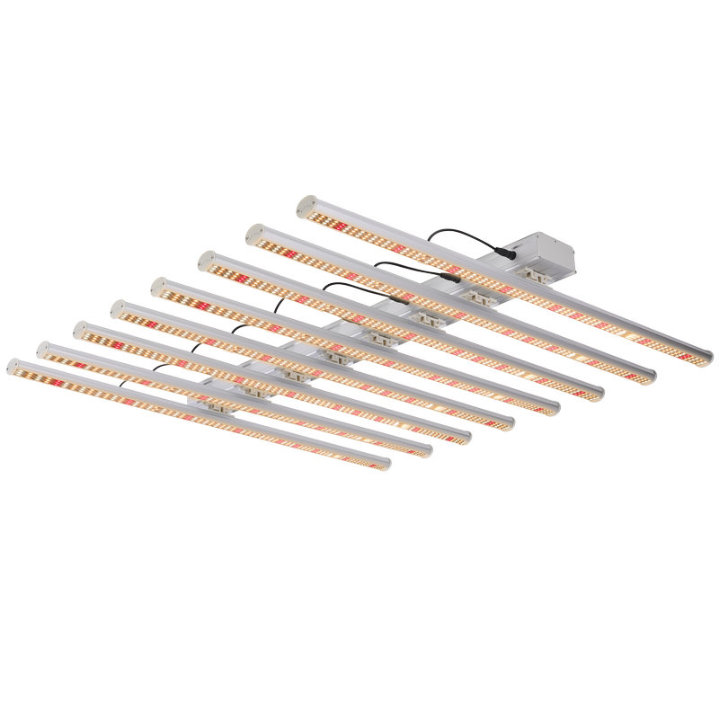 LED Grow Light သည် အပင်ကြီးထွားမှုအတွက် ဆိုဒီယမ်မီးခွက်ထက် ပိုကောင်းသည်ဟု သင်ထင်ပါသလား။